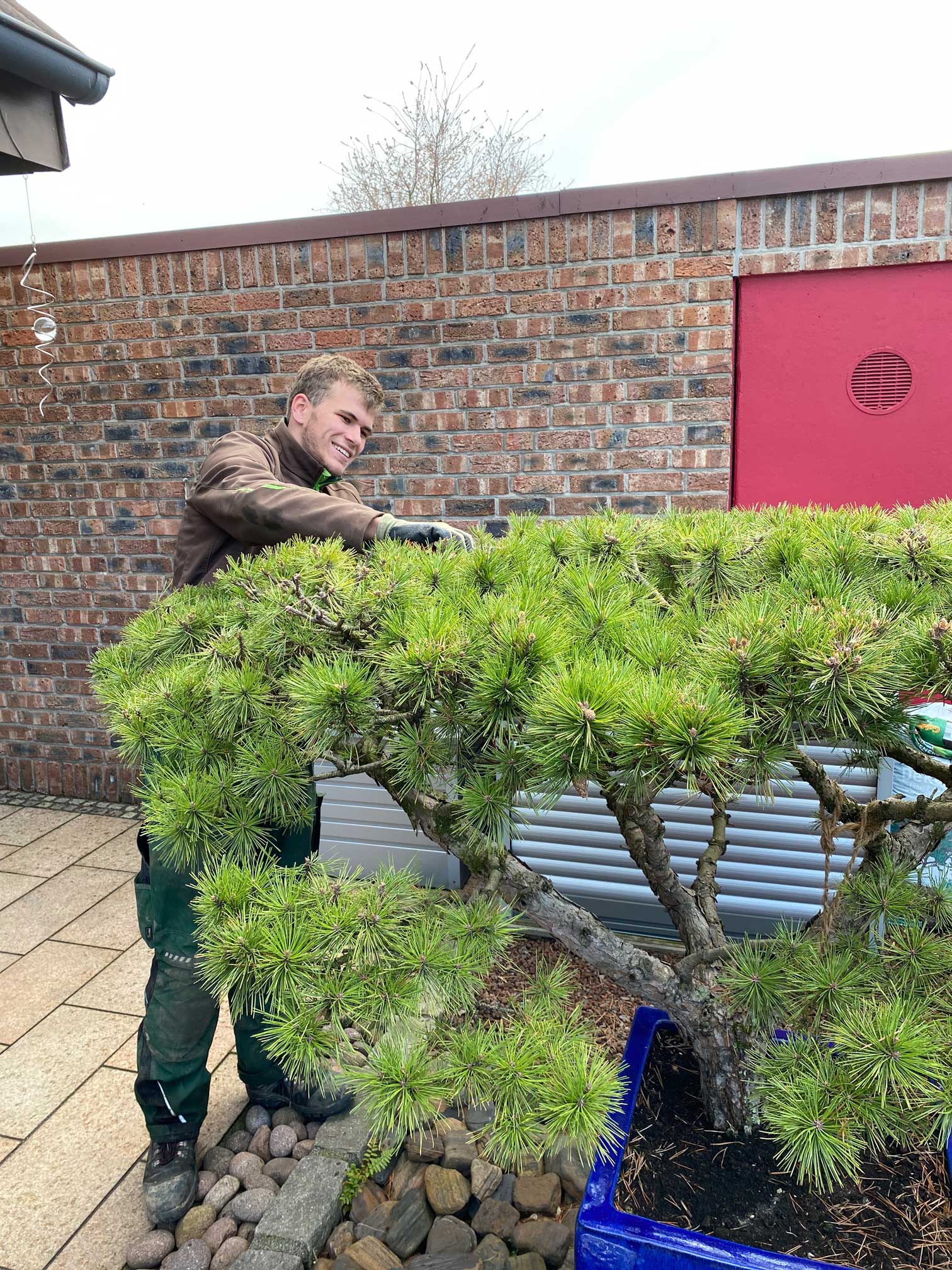 Vollständig neu gestalteter Garten mit Rasen und Beeten
